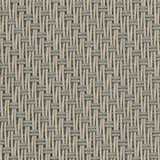 back<br />032031<br />duck egg Bild