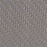 back<br />033001<br />oyster shell Bild