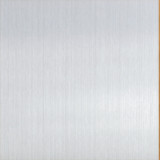 EV1 (Silberfarbton) Bild