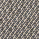 front<br />008001<br />safari Bild