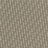 front<br />032032<br />wet sand Bild
