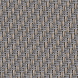 front<br />033001<br />oyster shell Bild