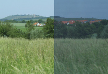 Petscreengewebe 2 Petscreengewebe 2
