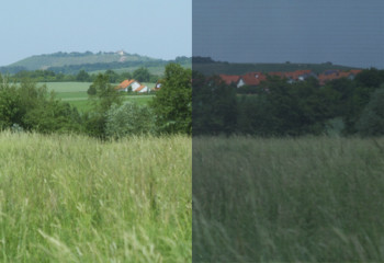 Pollenschutzgewebe 2 Pollenschutzgewebe 2